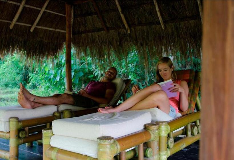 בית מלון כפרי Ella Jungle Resort