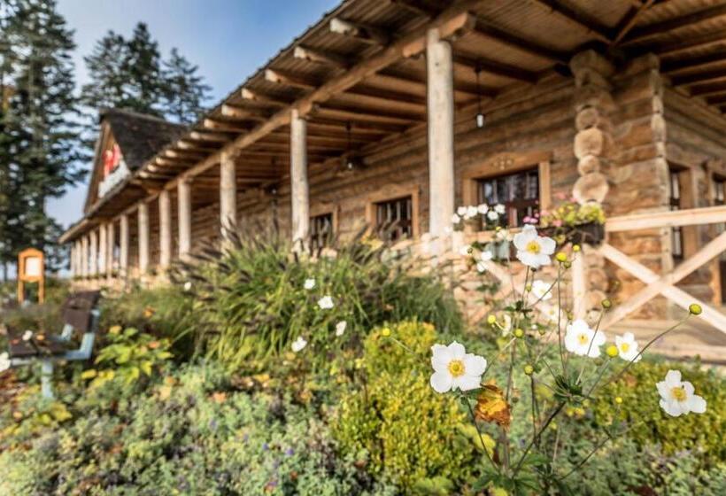 ホテル Picaro Stok