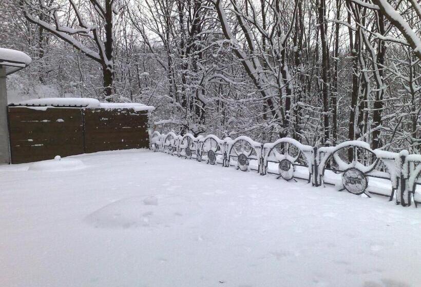 Отель Podzamcze