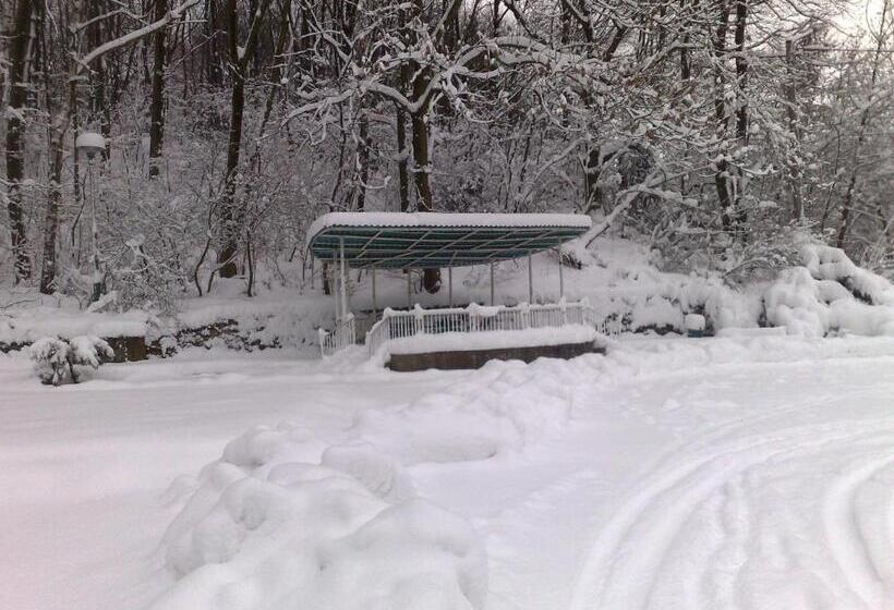 Отель Podzamcze