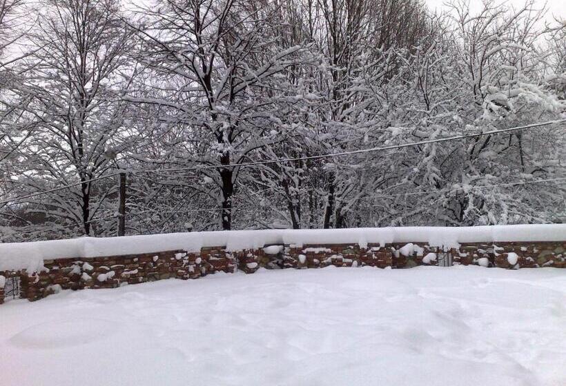 Отель Podzamcze