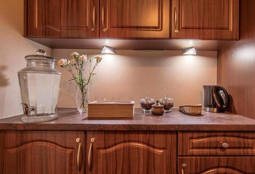 هتل Villa Magnat Spa, Jacuzzi, Sauna, Tężnia Solankowa