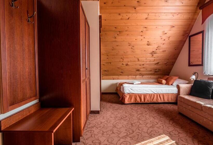 هتل Villa Magnat Spa, Jacuzzi, Sauna, Tężnia Solankowa