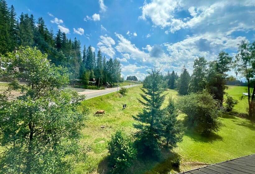 هتل Willa Marysin Bukowina Tatrzańska