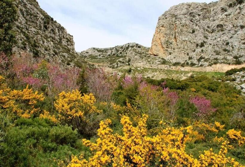 בית מלון כפרי Alexander Mountain Resort