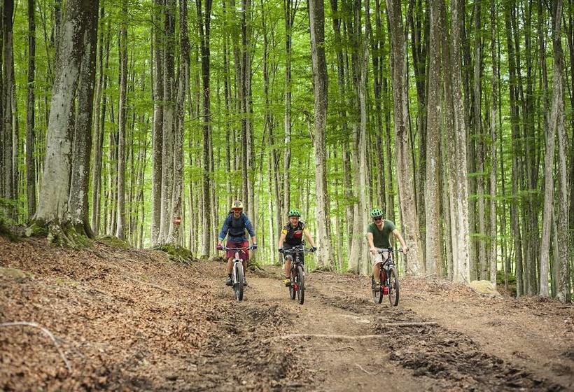 فندق Parco Dei Faggi   Monte Amiata