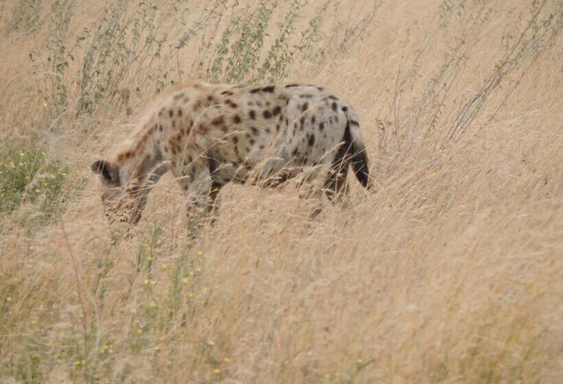 ホテル Upendo Safari Lodge