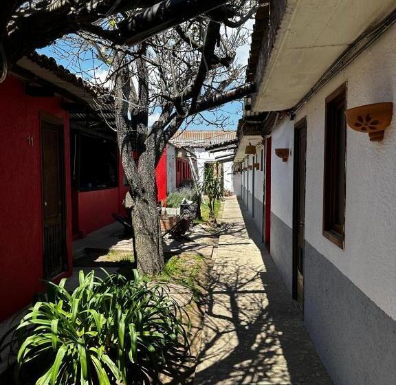 Пансион B61 Hostal