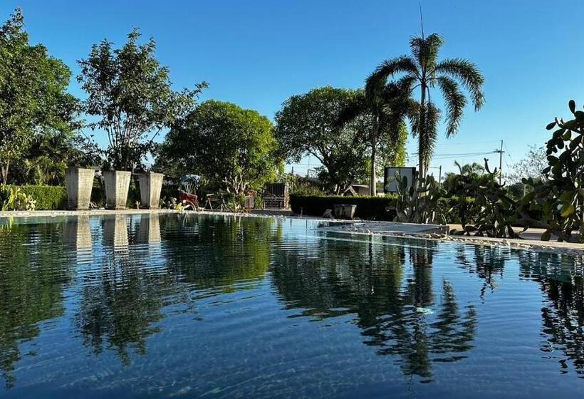 호텔 Hacienda Resort   Mae Phim