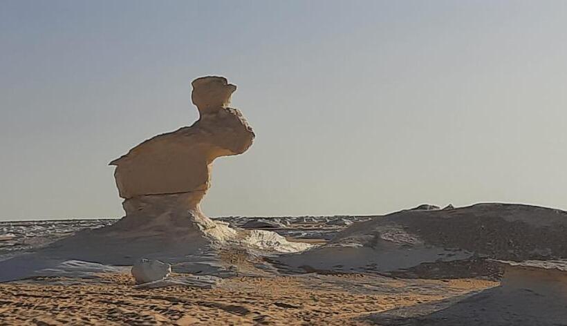 هتل Sand Rose Bahriya