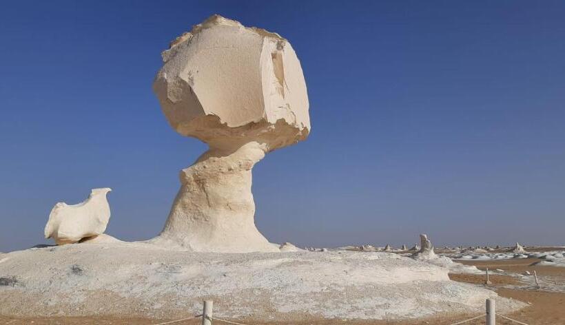 هتل Sand Rose Bahriya