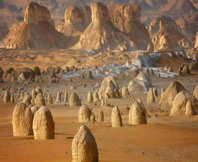 هتل Sand Rose Bahriya