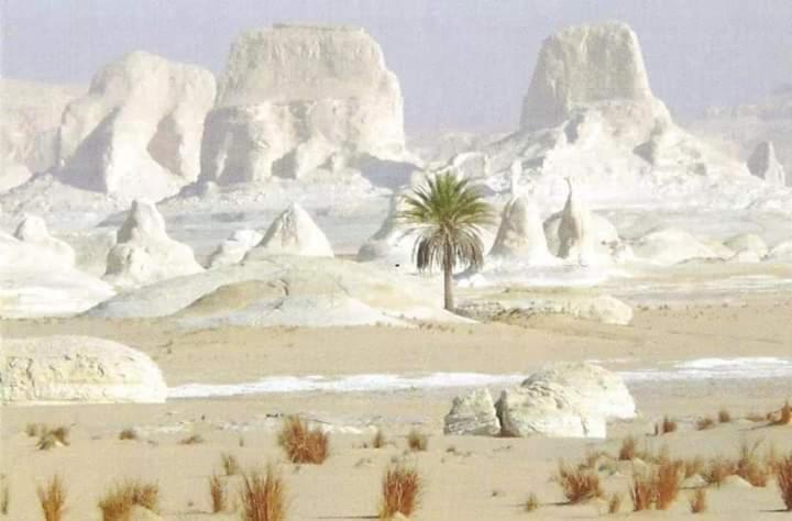 هتل Sand Rose Bahriya