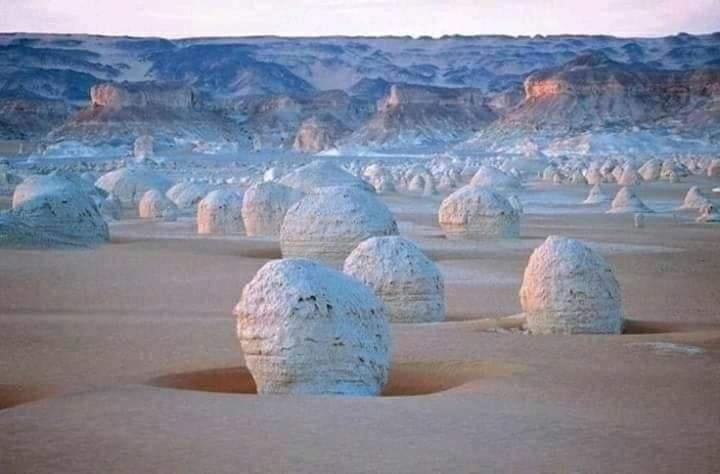 هتل Sand Rose Bahriya