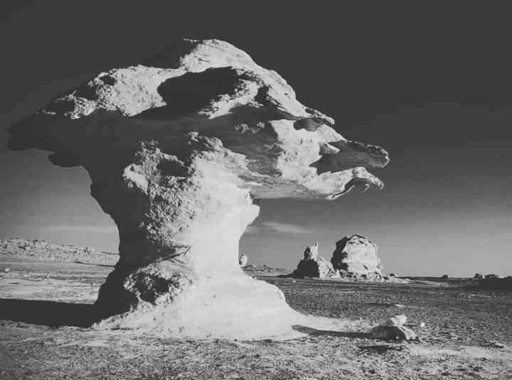 هتل Sand Rose Bahriya