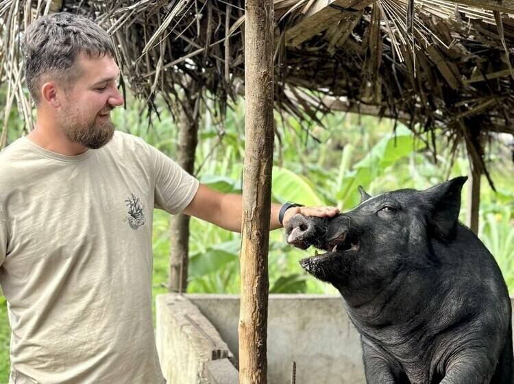 فندق Sobral Rice Terraces View