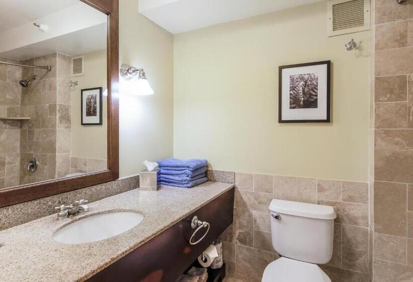 Kauai Beach Resort Room 2343