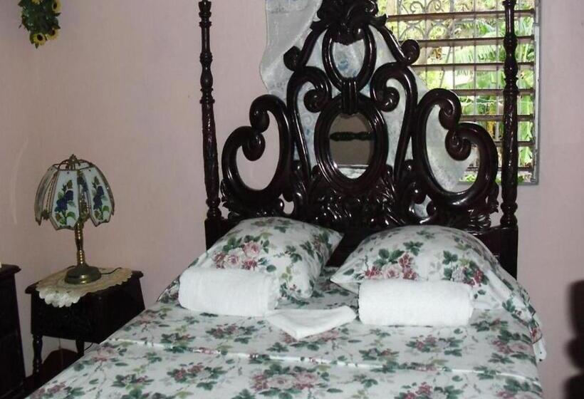 Kingston Airport Bed And Breakfast
