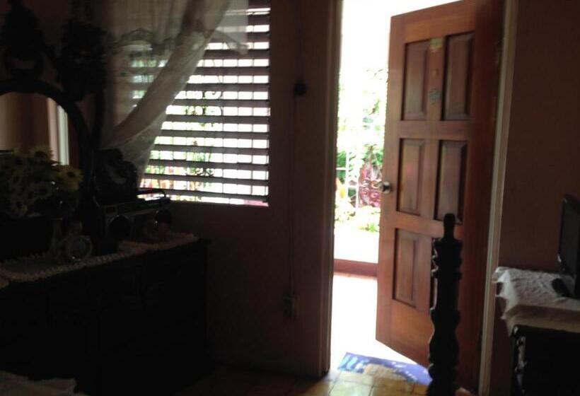 Kingston Airport Bed And Breakfast