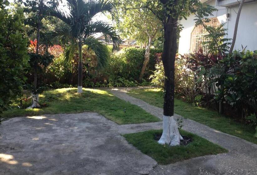 Kingston Airport Bed And Breakfast