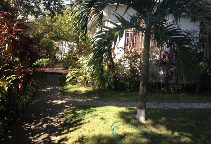 Kingston Airport Bed And Breakfast