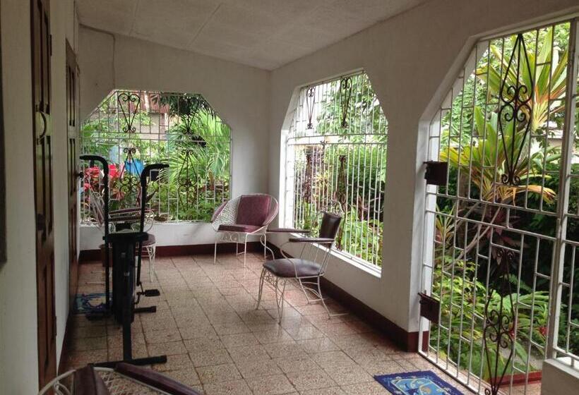 Kingston Airport Bed And Breakfast