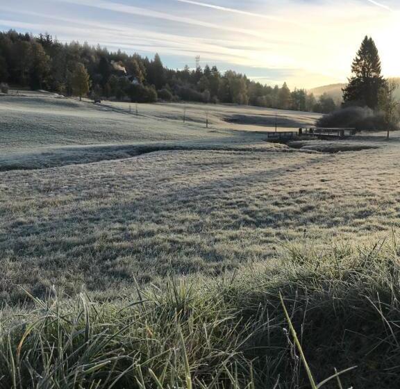 Пансион Bergschlössl Herrenwies