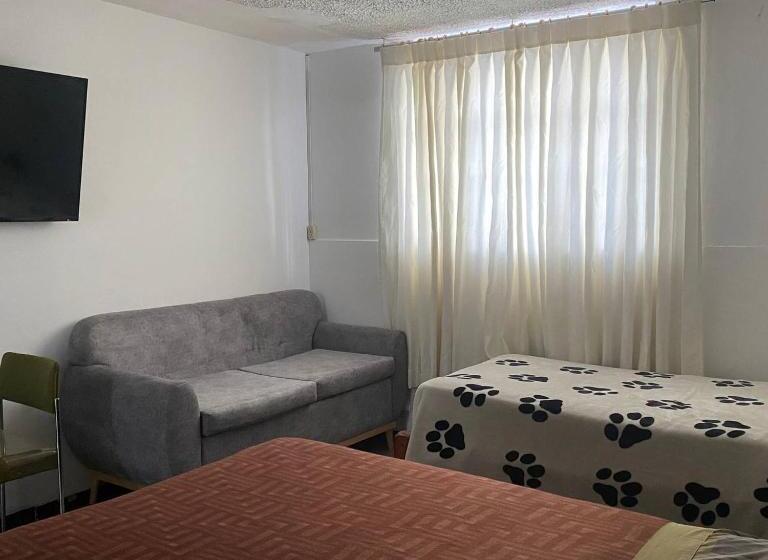 بنسيون Calu L  Petit Hostel