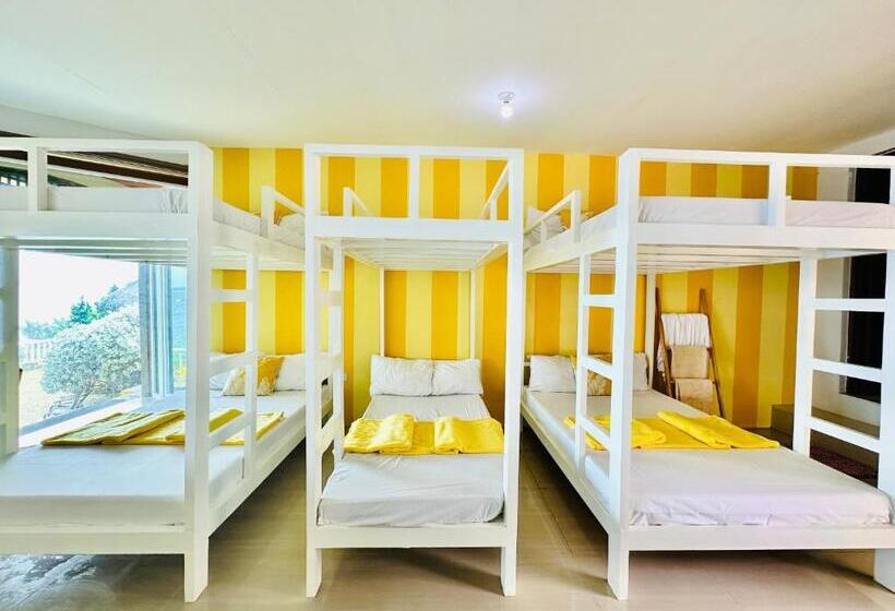 هتل Dreamland Paradise Resort