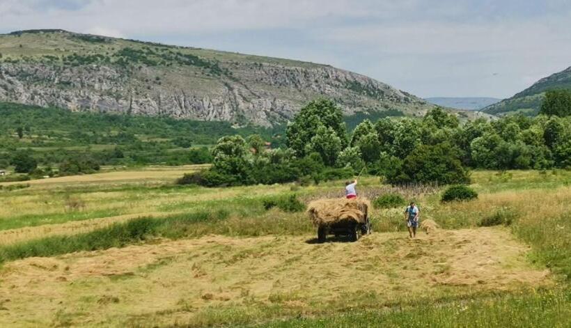 پانسیون Prenoćište Stojadinović