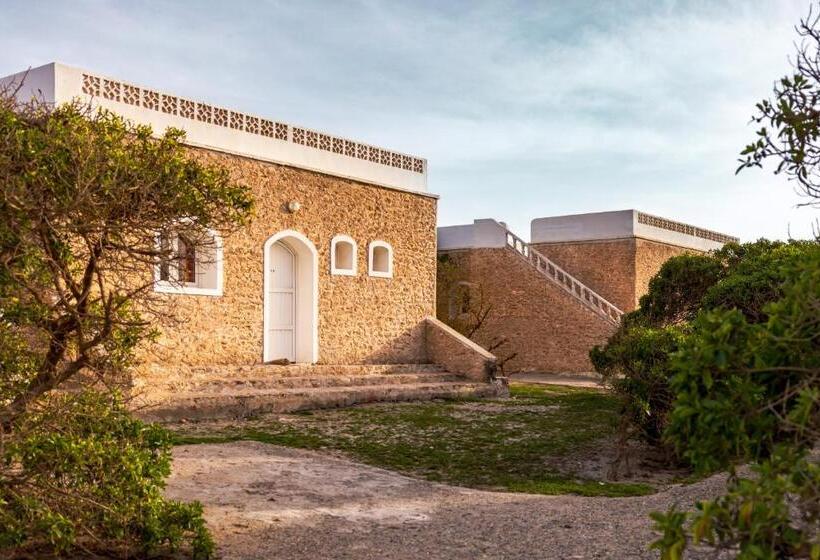 The Mogador S Oasis