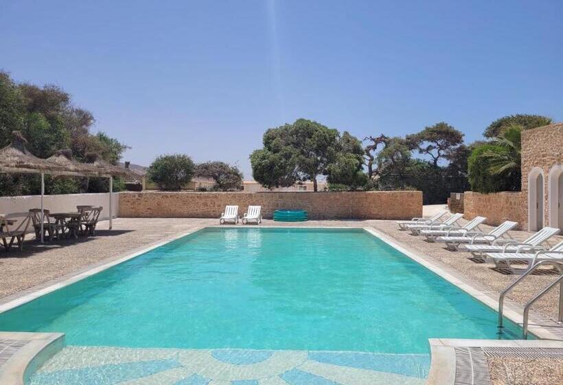 The Mogador S Oasis