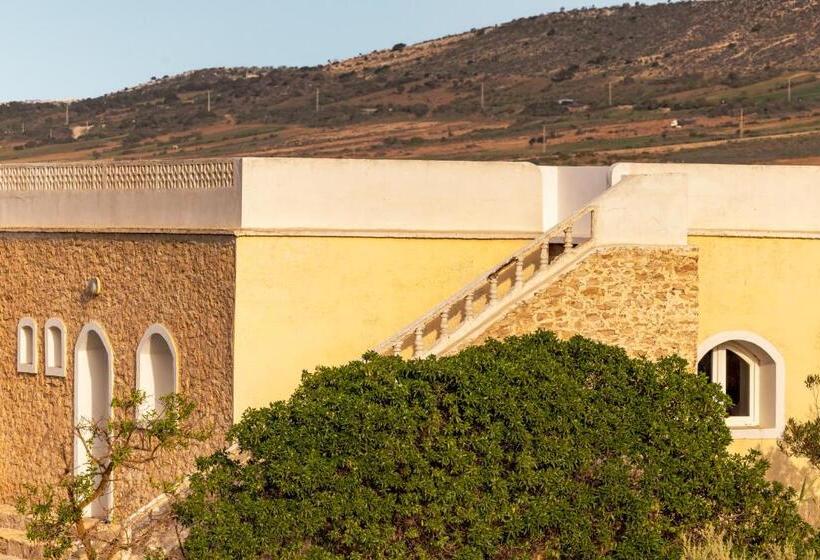 The Mogador S Oasis