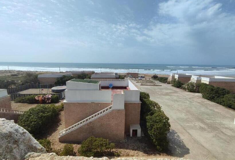 The Mogador S Oasis