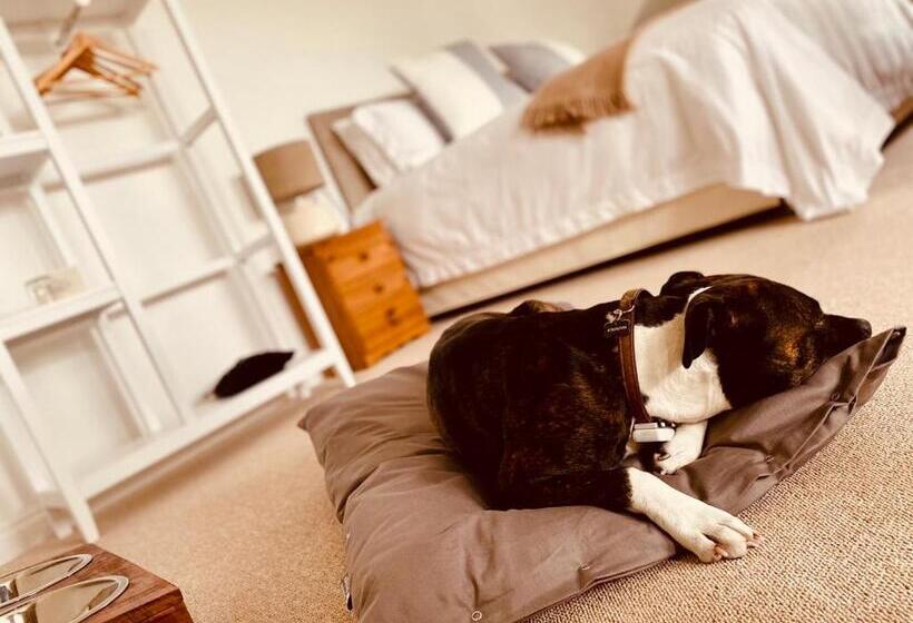 צימר The Ventnor Annex