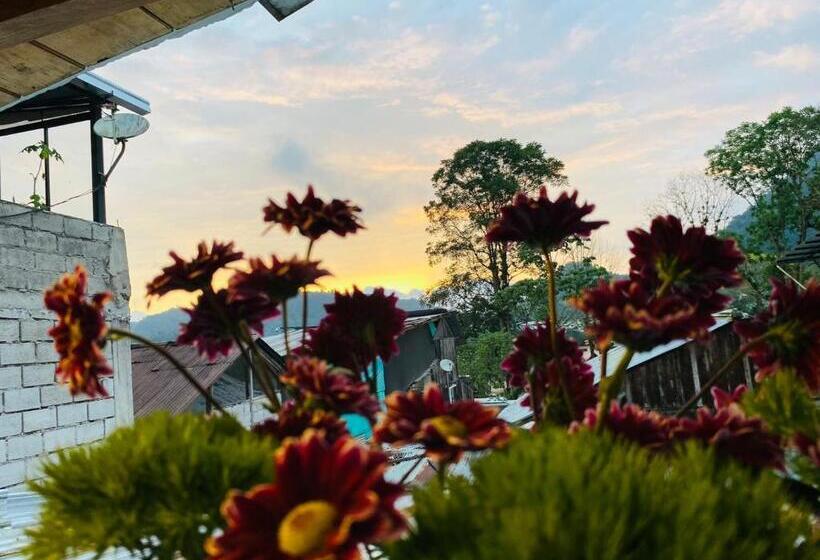 پانسیون Guayabo Hostal Mindo