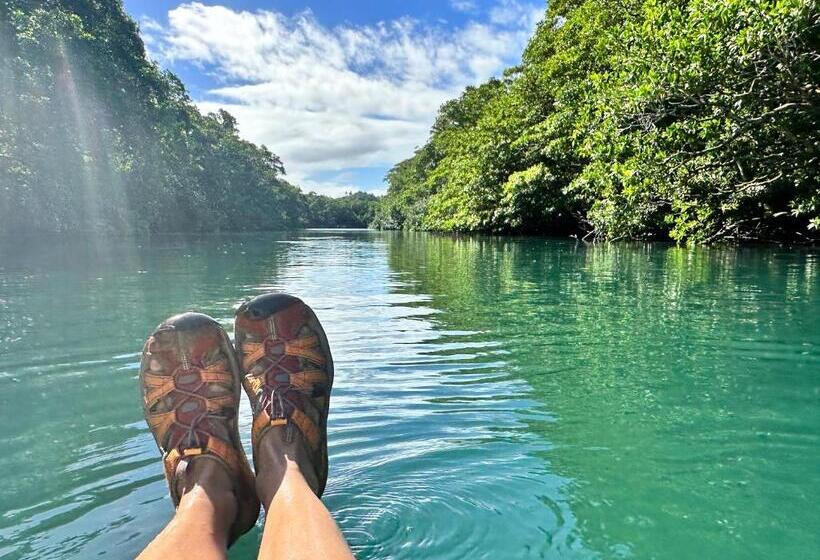 پانسیون Latui Loft