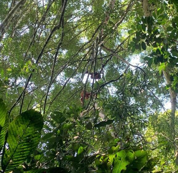 بنسيون Orchid Bugalows