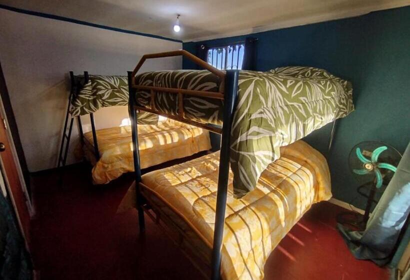 ベッドアンドブレックファースト Molino Rojo Hostel