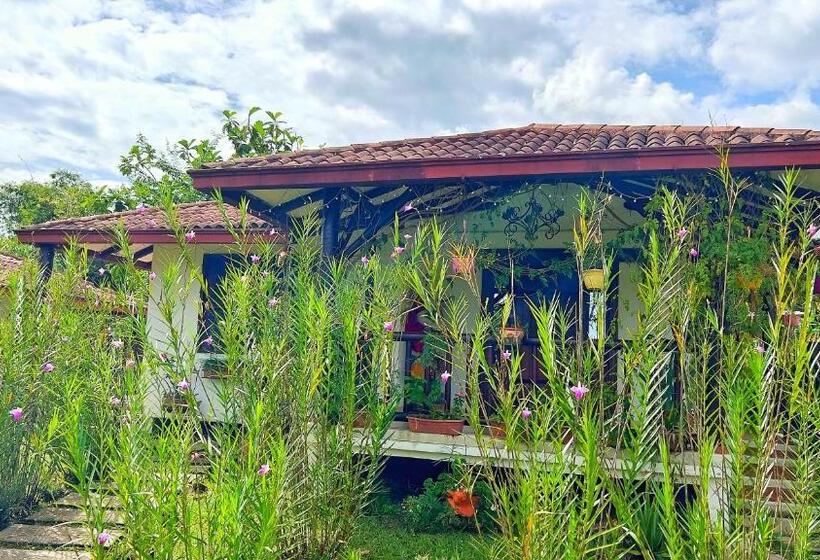 هتل Kamelot Colonial