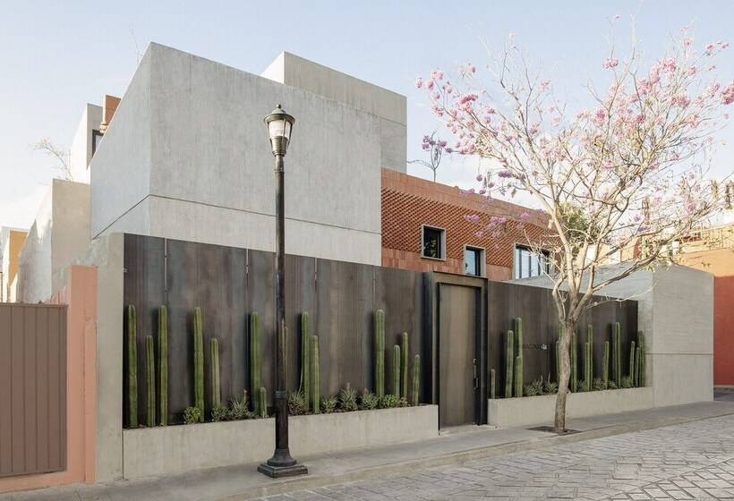 هتل Macondo Arte Oaxaca