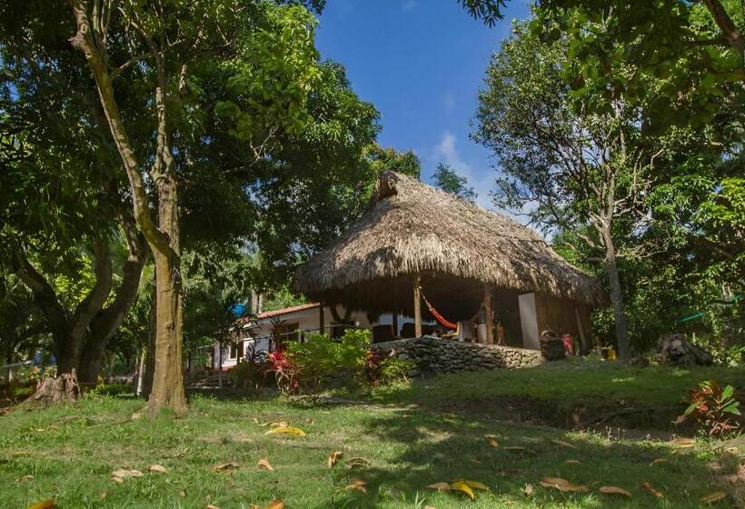 پانسیون Santuario Tayrona Hostel
