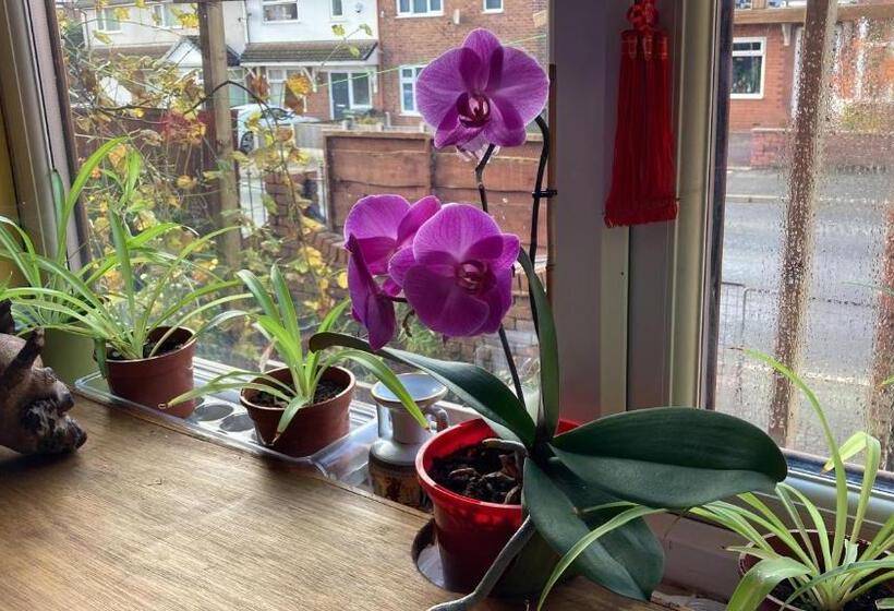 مبيت وإفطار Hong Kong Inn