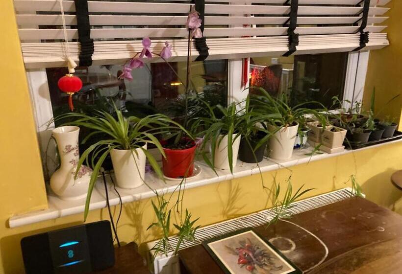 مبيت وإفطار Hong Kong Inn