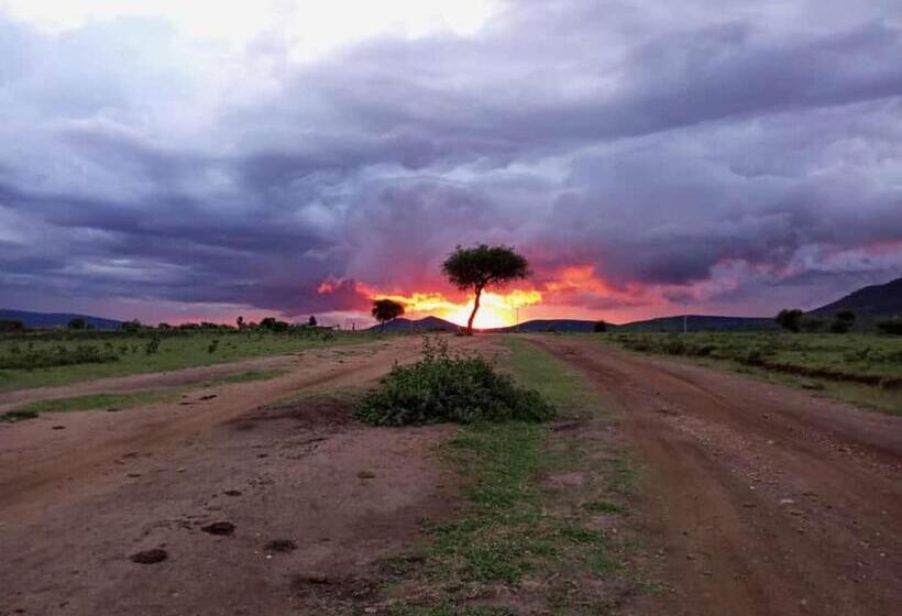 تختخواب و صبحانه Sunrise Maasai Mara Safari Camp