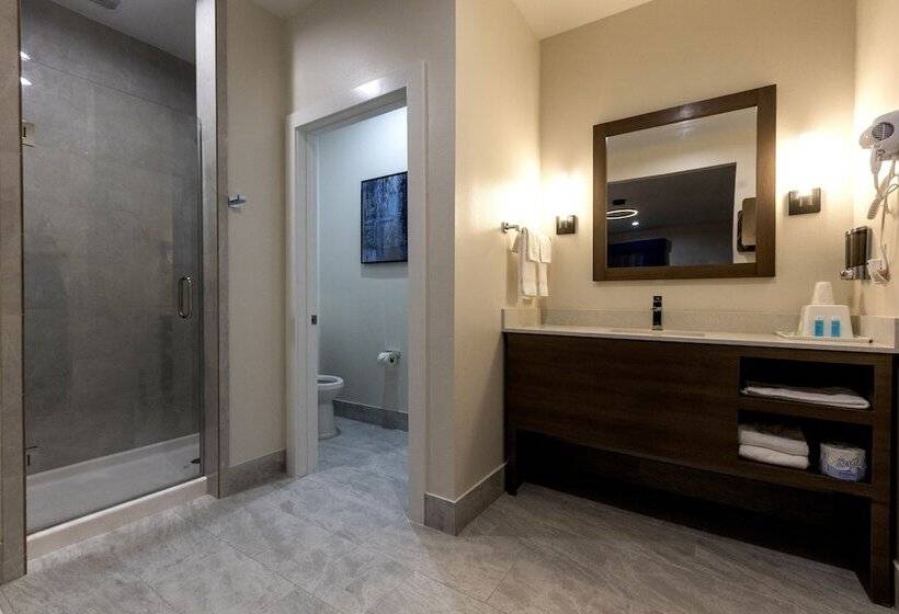 هتل Palace Inn Blue Edgebrook