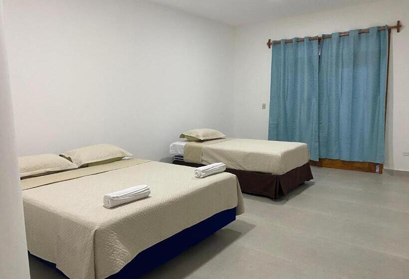 پانسیون Penguin House