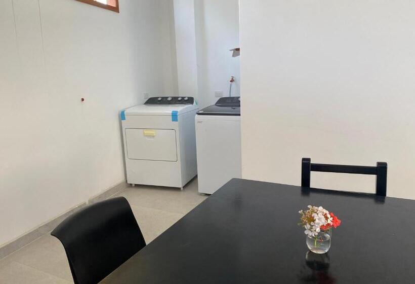 پانسیون Penguin House