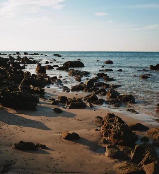 膳宿费 Simple Life Bungalows