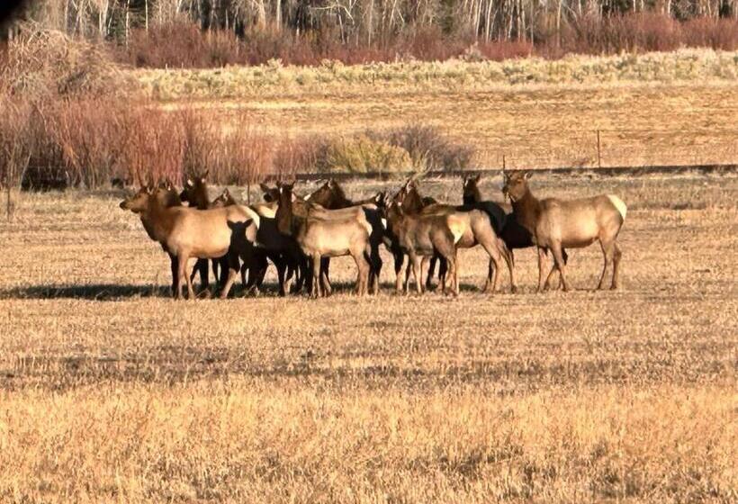 بنسيون Ute Bluff Lodge, Cabins And Rv Park